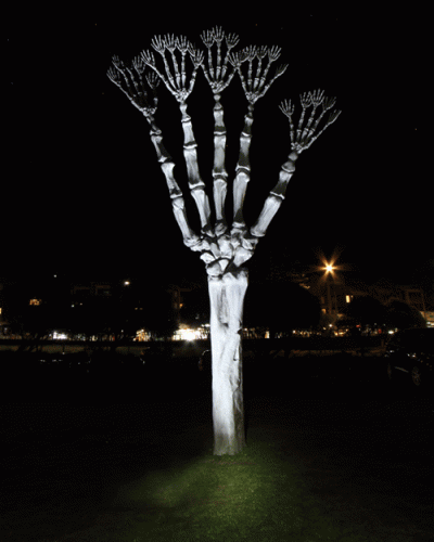 The Articulations