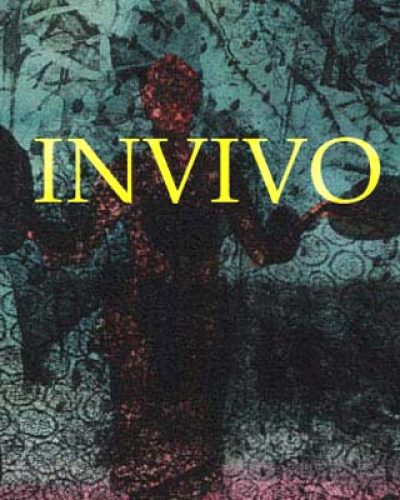 INVIVO (an inner landscape)