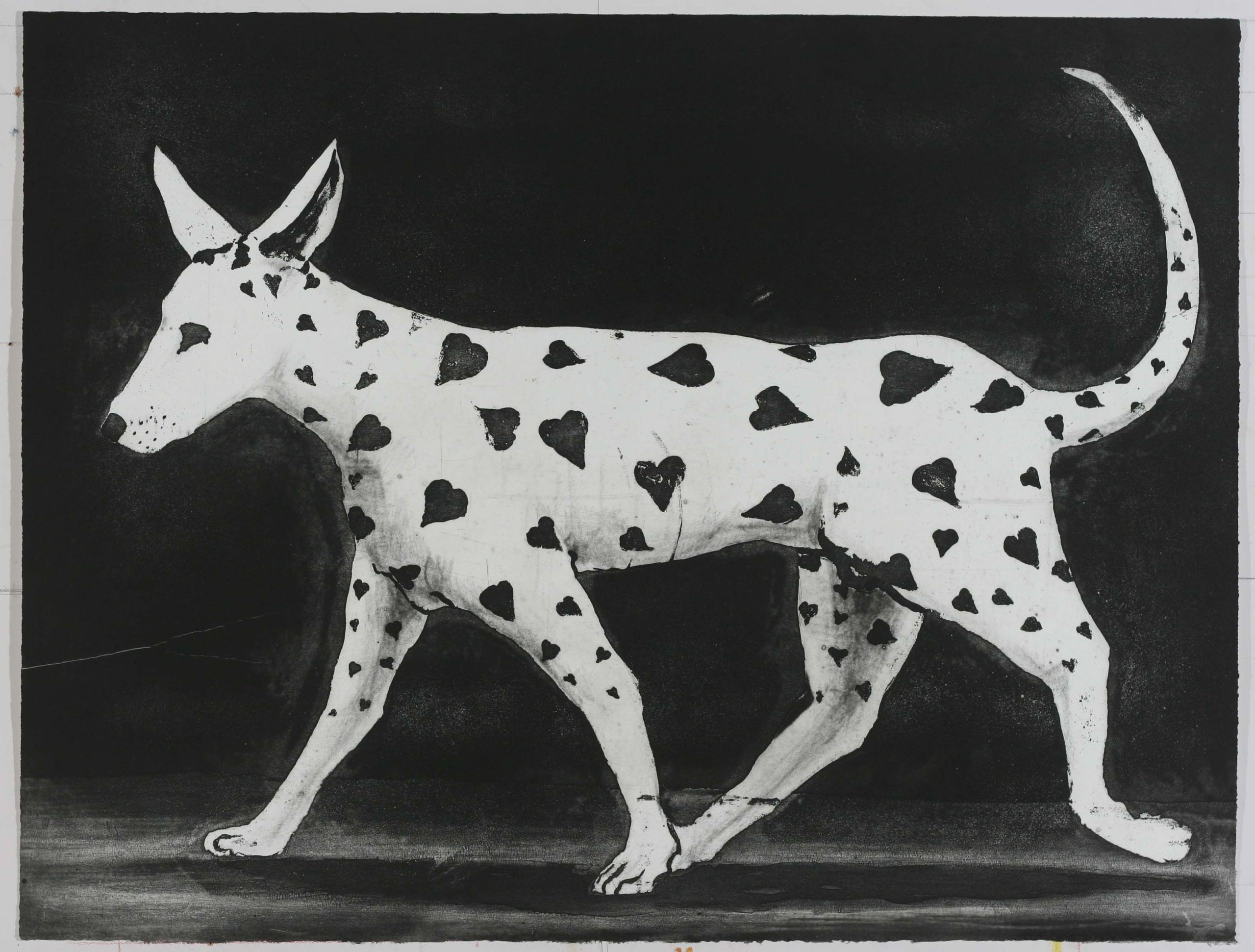 dalmation 1993_4203